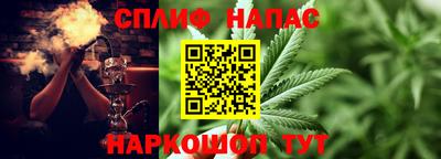сатива Вышний Волочёк