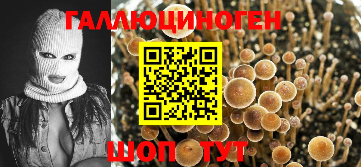 Псилоцибиновые грибы ЛСД Владикавказ